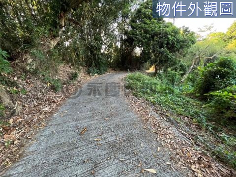 南投市中興新村妙華山3分農牧用地 南投縣南投市內轆段