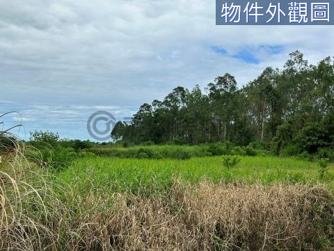 台東長濱田組段便宜好農地-農海K26 台東縣長濱鄉田組段