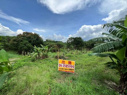 獨家專任-官田近烏山頭水庫都計內低總價農保地 台南市官田區官中段