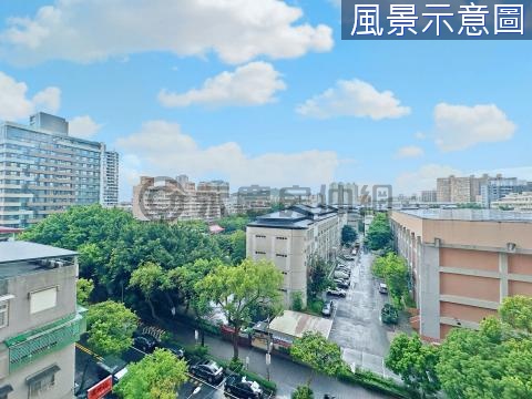 玫瑰古典文藝三房 新北市永和區民生路