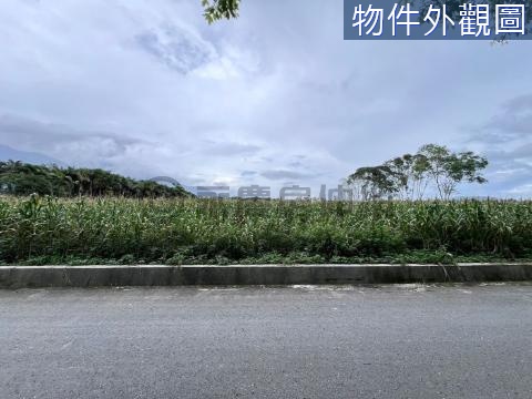 F267鳳林方正千坪農地 花蓮縣鳳林鎮中心埔段