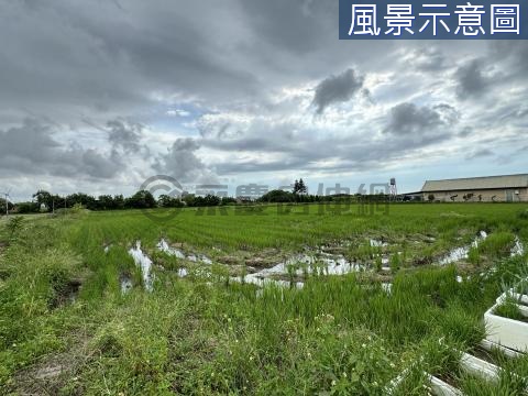 專任新豐崁頭段704方正地地主誠意出售 新竹縣新豐鄉崁頭段