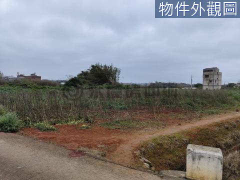 (廣)近富岡車站重劃區環境清優方正美農地 桃園市楊梅區民有段