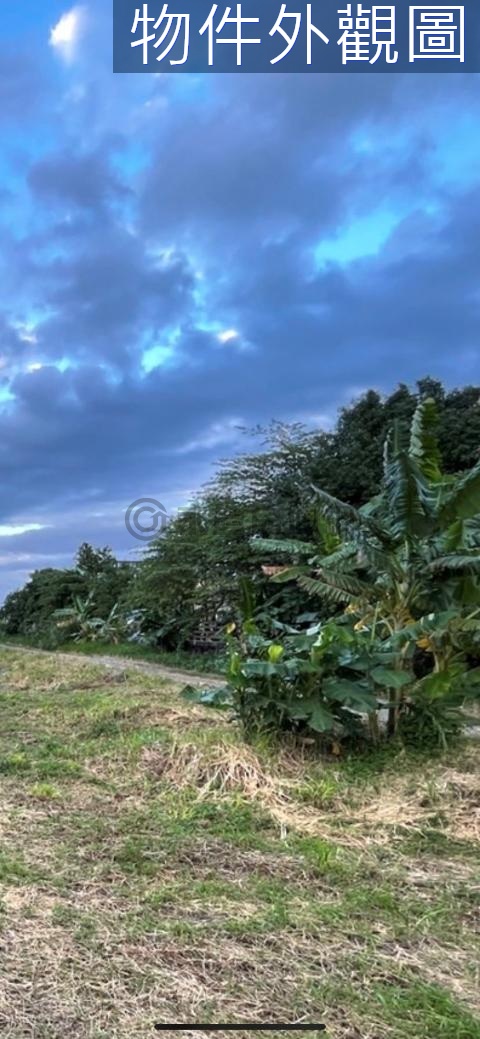 吉安東海農地FF0365 花蓮縣吉安鄉東昌段