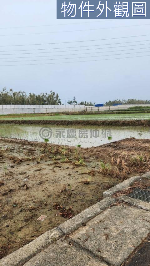 民雄新庄段正30米路都計內美農地 嘉義縣民雄鄉新庄段