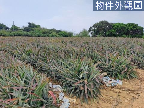 大樹便宜農地 高雄市大樹區姑山段