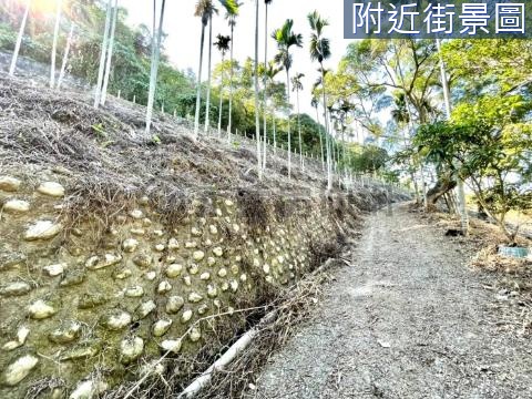 🍀新社河畔農地 台中市新社區水底寮段上水底寮小段