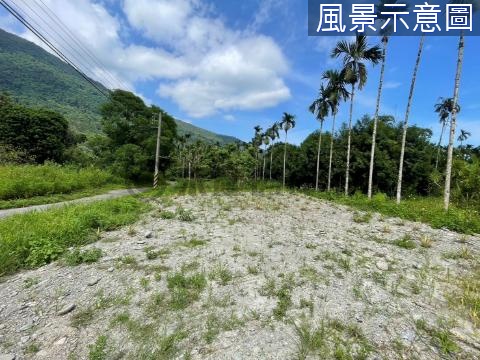 17F近鳳凰山莊環境清幽雙面路靜懿農地（有農電） 花蓮縣鳳林鎮鳳義段