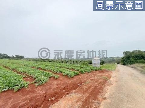 台中航空城區段徵收農地 →買賣農地免稅 台中市清水區楊厝段