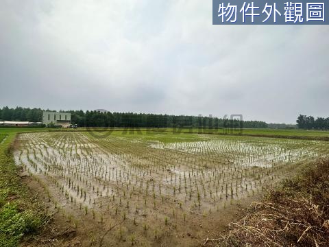 大溪【廣福段】落羽松．漂亮農地 桃園市大溪區廣福段