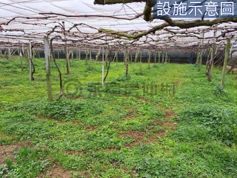 新社大南段3米農路種苗場方正農地 台中市新社區大南段大南小段