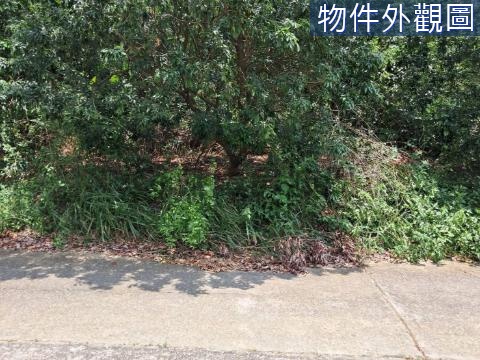 大樹姑山方正農地 高雄市大樹區姑山段