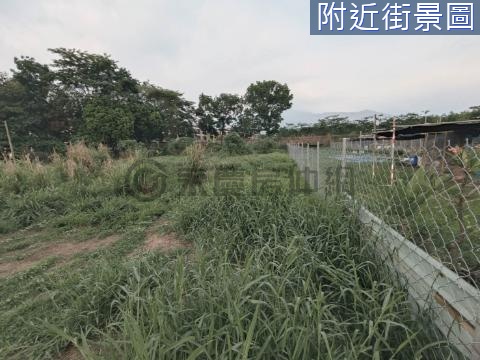 內埔龍泉都計農地 近學區 生活機能方便 屏東縣內埔鄉大新段