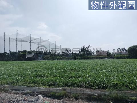 潮州國際滑輪溜冰場/都內農地/假日農夫 屏東縣潮州鎮光華段