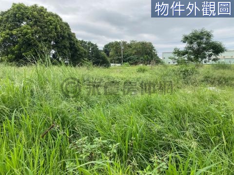 彰化近國三中投大面寬建地~建商最愛~可蓋廠房 彰化縣芬園鄉嘉興段