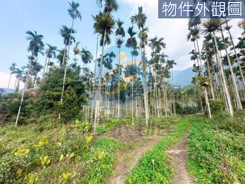 東潤方正農地D 南投縣埔里鎮東潤段