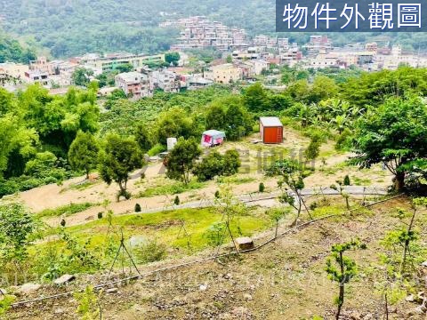 @太平頭汴國小旁養生農地＋建地／有水電 台中市太平區內城段