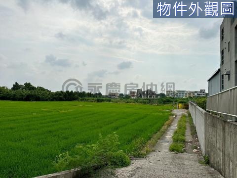 🌱潭子國道四號旁｜旱溪千坪節稅農地 台中市潭子區嘉豐段