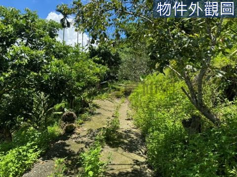 霧峰區南坑段開心果園山坡地 台中市霧峰區南坑段