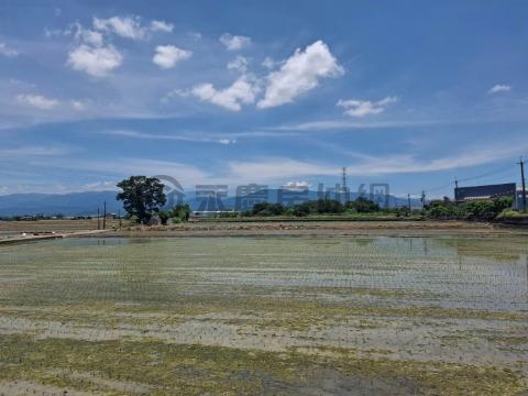 斗南新庄優質農地 雲林縣斗南鎮新庄段新庄小段