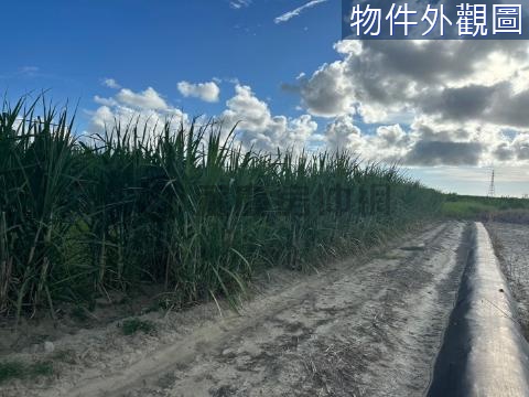 安南都內大面寬增值農地 台南市安南區學北段