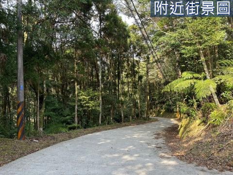 G128三峽有木1663農地⭐️芬多精杉木林農地 新北市三峽區插角段有木小段