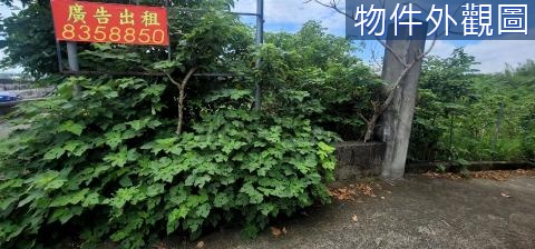 員林林厝交流道旁都內田 彰化縣員林市新林厝段