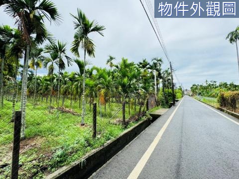 內埔高腳屋都計農地 可分割利用 可做農保地 屏東縣內埔鄉新埔段