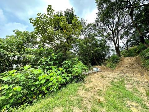 汐止茄苳溪流旁山林綠水秘境生態農地(一) 新北市汐止區水源段