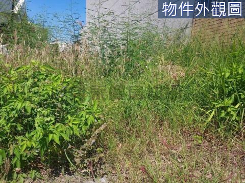 近六甲運動公園★休閒土地 台南市六甲區二甲段