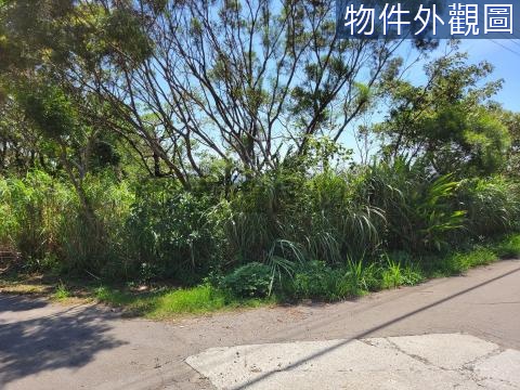 淡水區興仁段山海觀馬場旁農地有臨路A 新北市淡水區興仁段