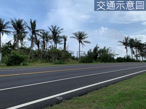 東海岸隆昌正省道旁小農地-農海925 台東縣東河鄉佳里段