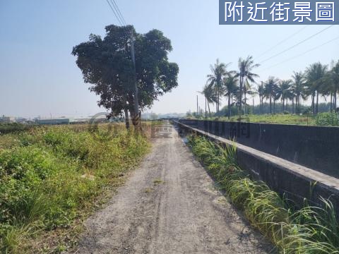 永康國1城1發展區都計農地 台南市永康區文化段