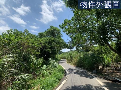 特定農業區 A-A 三空泉 近坪頂路 步道踏青 新北市淡水區樹興段