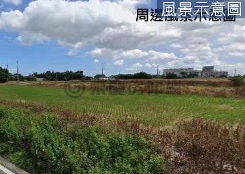 下埔頂段2233坪一般農 桃園市觀音區下埔頂段