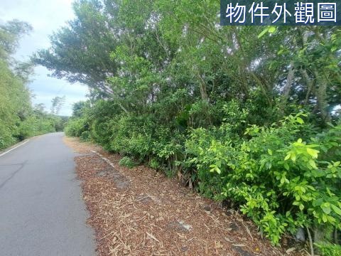 苗栗通霄   淳樸小鎮-甲建 苗栗縣通霄鎮通平段