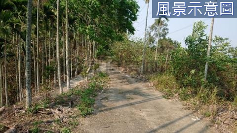 白河竹子門綠能減碳1甲1便宜農地 台南市白河區竹子門段