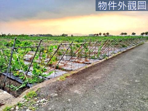 ⭐美濃首選｜大地坪休閒度假農地 高雄市美濃區龍中段