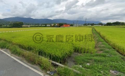 專任-台東萬福角地農地 台東縣池上鄉萬福段