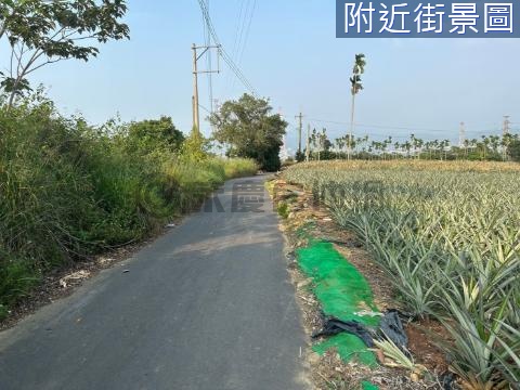 專賣南投近易經大學持分農地 南投縣南投市半山段