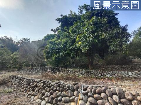 ⛳新社 湳嶺段 ☘️平坦美農地 🏡附古早味小屋 台中市新社區湳嶺段