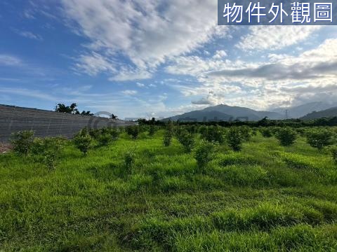 利家路巷子內5分大方正農地C農30 台東縣卑南鄉利泰段