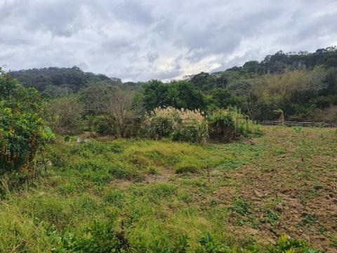 專任大湖大面寬平坦方正農地 新竹市新竹市青山段