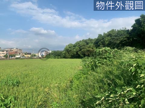 南竹段捷運綠線徵收地II 桃園市蘆竹區南竹段