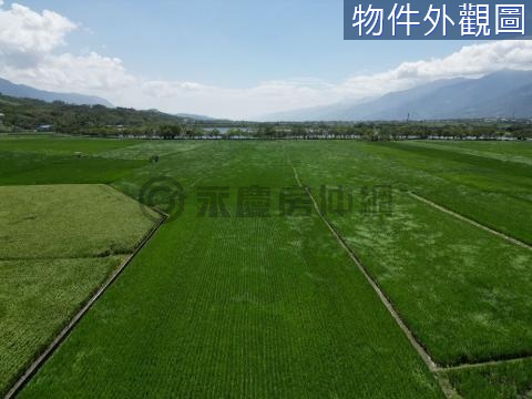 台東池上鄉景觀獨家稀有建地E009 台東縣池上鄉大池段