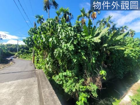 麟洛火車站旁農地 地形方正漂亮好規劃 有電 屏東縣麟洛鄉徑仔段