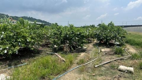 岡山嘉華產業園區農地2 高雄市岡山區華崗段