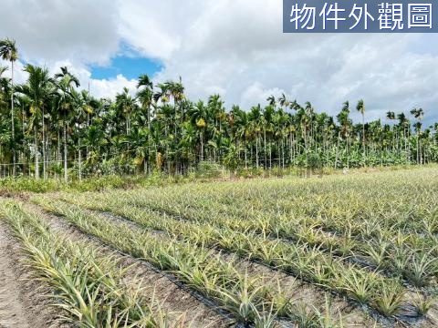 🐥麟洛山景休閒都農(P2Y2X1)鄰近交流道 屏東縣麟洛鄉麟仁段