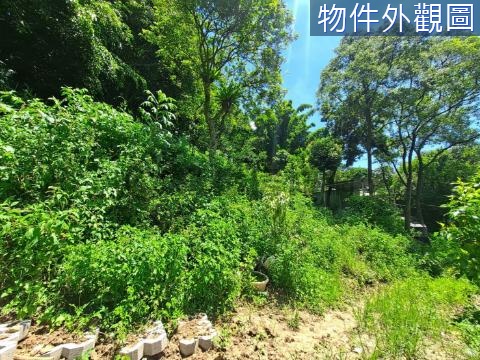 三峽鳶山果園農地有水有電有資材室 新北市三峽區中埔段