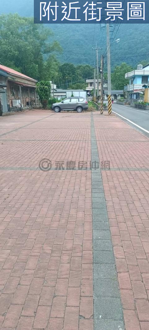 花蓮近鯉魚潭臨路大建地 花蓮縣壽豐鄉池南段